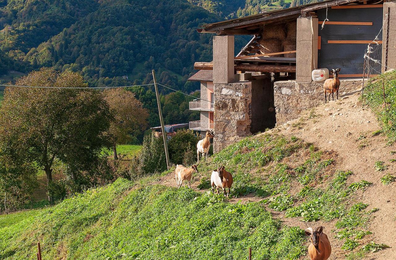 Bed &Breakfast Bellavista San Giovanni Bianco Exterior foto